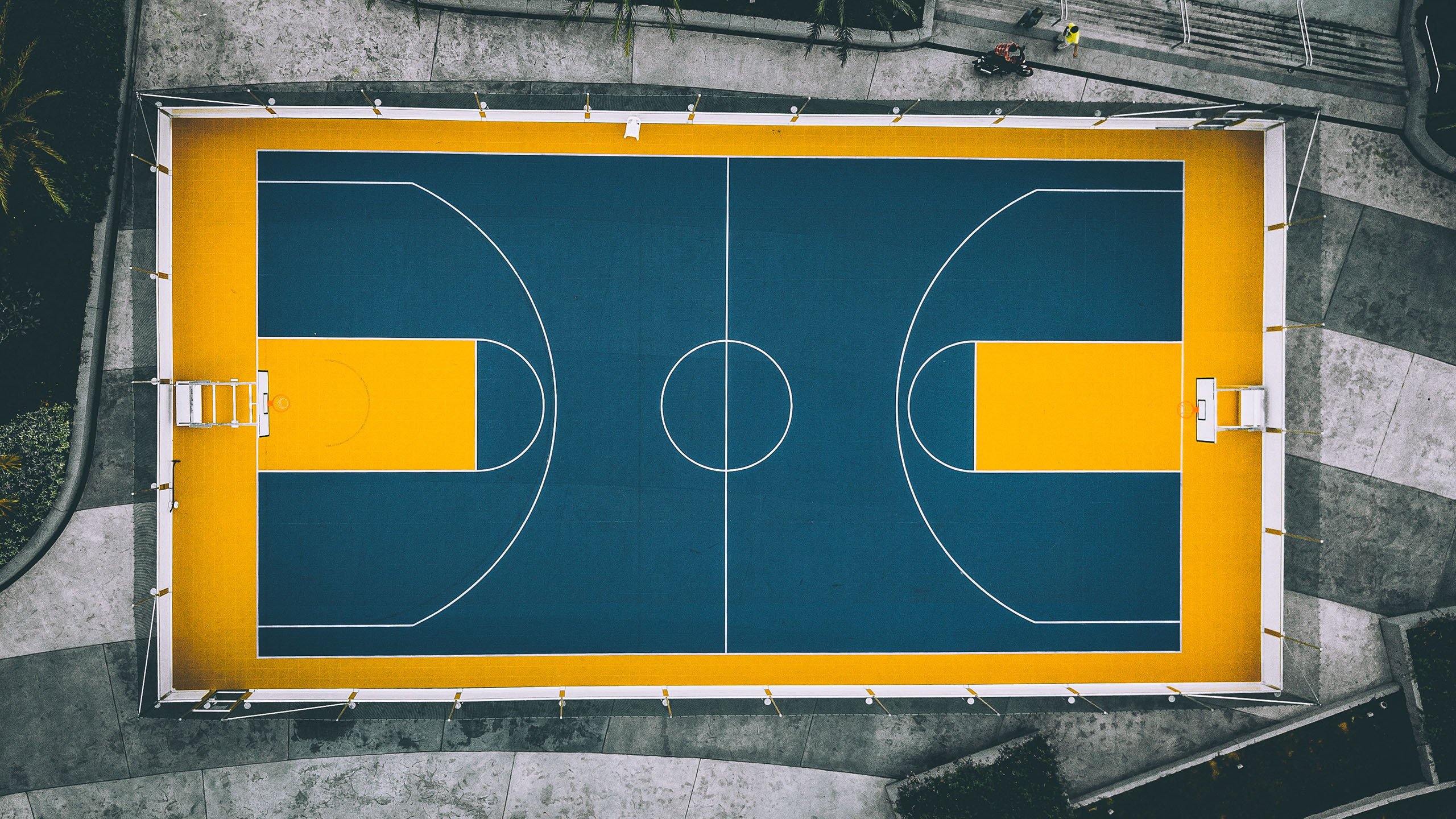 NBA球星回归国家队，国际赛观赏性提升，nba球星回家视频